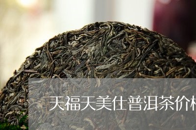 天福天美仕普洱茶价格/2023092766040