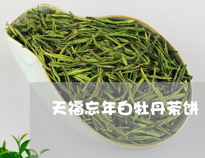 天福忘年白牡丹茶饼/2023120548049