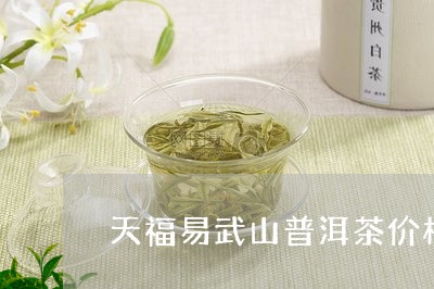 天福易武山普洱茶价格/2023092534939