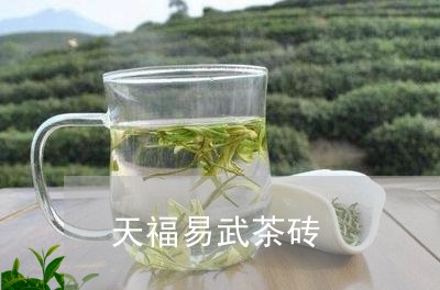 天福易武茶砖/2023090718473