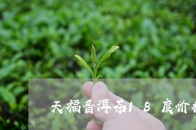 天福普洱茶18度价格/2023120634151