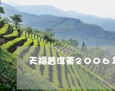 天福普洱茶2006年/2023100701594