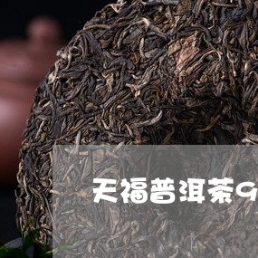 天福普洱茶99元是真的吗/2023082708361