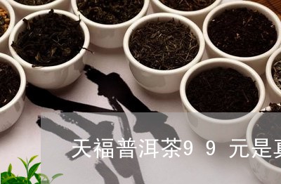 天福普洱茶99元是真的吗/2023110407240