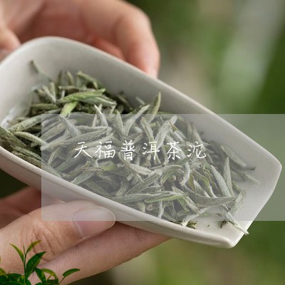 天福普洱茶沱/2023042550477