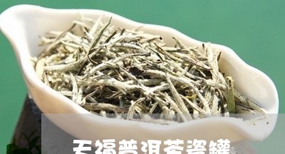 天福普洱茶瓷罐/2023110315030