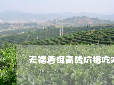 天福普洱青砖价格吃鸡饼普洱茶/2023053076279