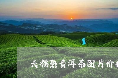 天福熟普洱茶图片价格/2023072373936