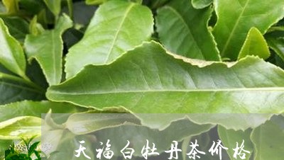 天福白牡丹茶价格/2023090628271