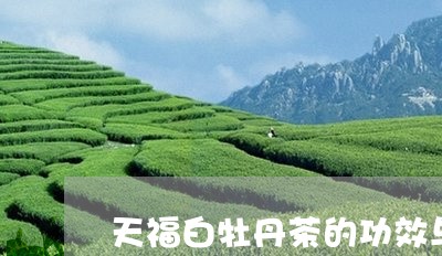 天福白牡丹茶的功效与作用/2023051132937