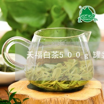 天福白茶500g罐装/2023092731815