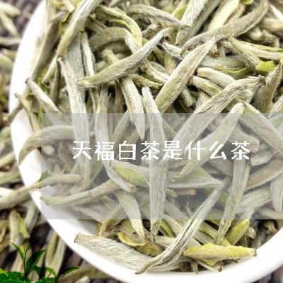 天福白茶是什么茶/2023061729275