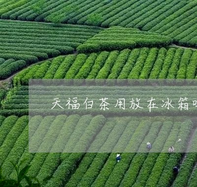 天福白茶用放在冰箱吗/2023092814037