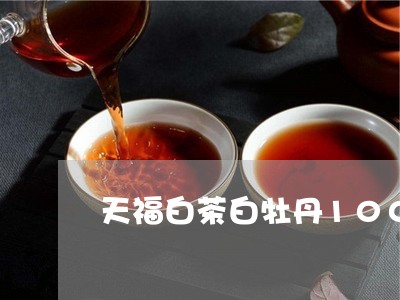 天福白茶白牡丹100克/2023082598159