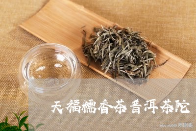 天福糯香茶普洱茶陀/2023092829581