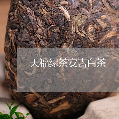 天福绿茶安吉白茶/2023061704957