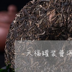 天福罐装普洱茶价格表/2023092742594