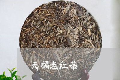 天福老红茶/2023121926362
