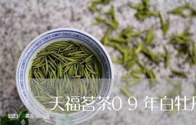 天福茗茶09年白牡丹/2023120904949