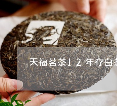 天福茗茶12年存白茶/2023092725958