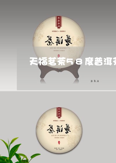 天福茗茶58度普洱茶560克/2023121554059