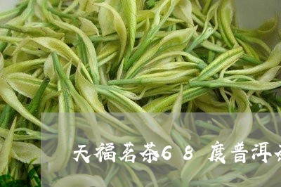 天福茗茶68度普洱茶/2023062231603