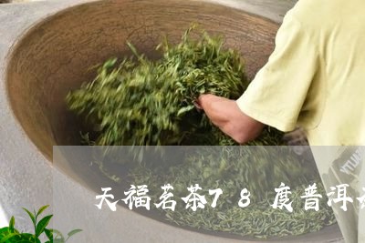 天福茗茶78度普洱茶/2023061817382