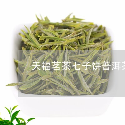 天福茗茶七子饼普洱茶/2023061649594