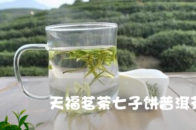 天福茗茶七子饼普洱茶/2023092718482