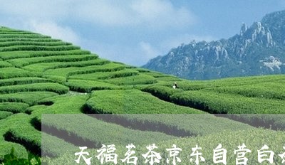 天福茗茶京东自营白茶/2023092814038