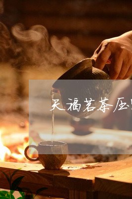 天福茗茶压紧贡眉/2023061738492