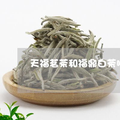 天福茗茶和福鼎白茶哪个好/2023062764948