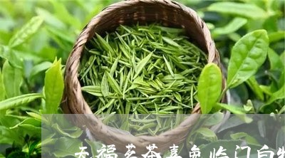 天福茗茶喜兔临门白牡丹/2023092262804