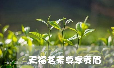 天福茗茶尊享贡眉/2023061747281