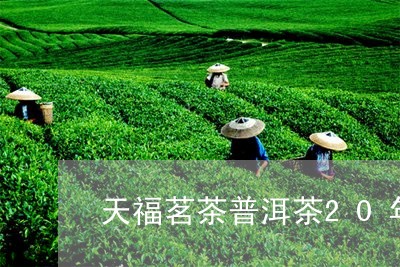 天福茗茶普洱茶20年/2023092926261