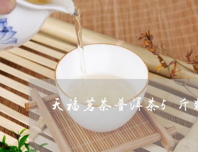 天福茗茶普洱茶5斤装/2023092770494