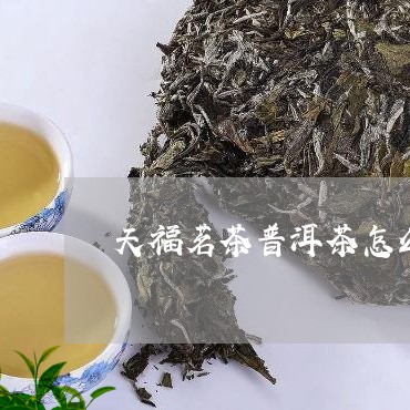 天福茗茶普洱茶怎么泡才好喝/2023052963827