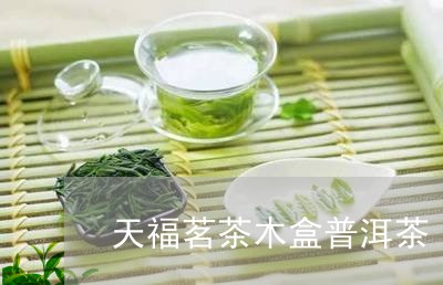 天福茗茶木盒普洱茶/2023071096170