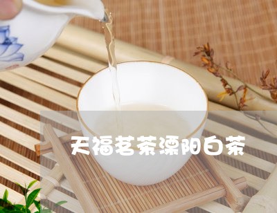 天福茗茶溧阳白茶/2023061757170