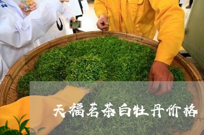 天福茗茶白牡丹价格/2023120624947