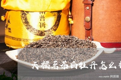 天福茗茶白牡丹怎么样/2023120934059