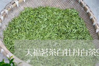 天福茗茶白牡丹白茶96克/2023082509481