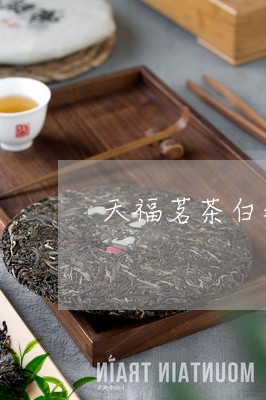 天福茗茶白牡丹紧压白茶150g/2023111511704