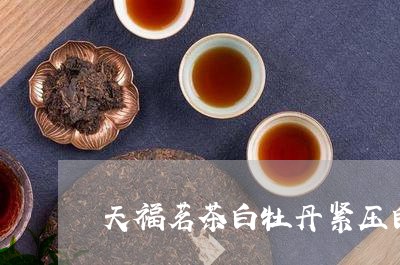 天福茗茶白牡丹紧压白茶礼盒珍藏/2023062884936