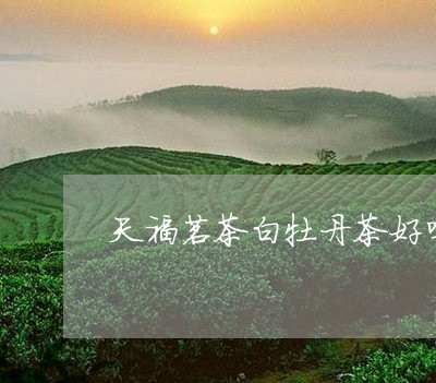 天福茗茶白牡丹茶好吗/2023120981505