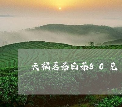 天福茗茶白茶80克/2023071323837