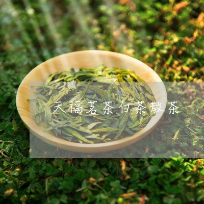 天福茗茶白茶散茶/2023061771403