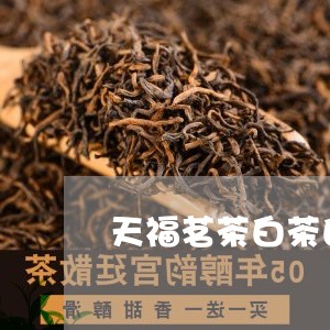 天福茗茶白茶白牡丹/2023120573514