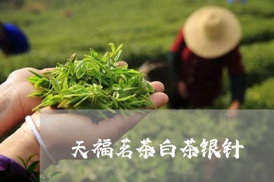 天福茗茶白茶银针/2023061741806