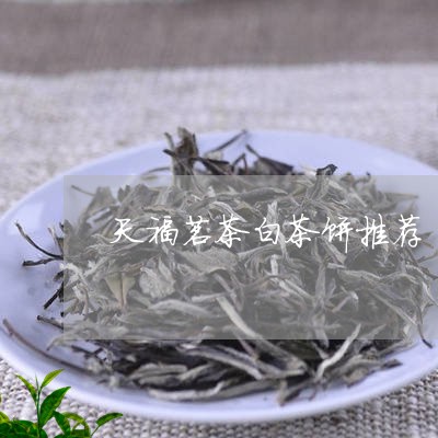 天福茗茶白茶饼推荐/2023081403717